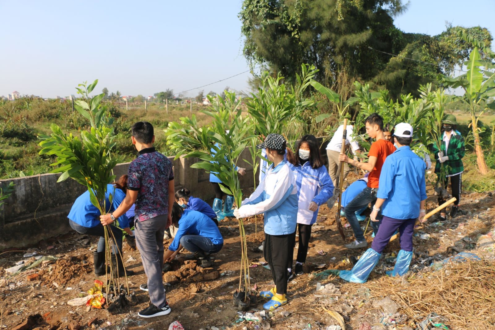 Đoàn Khối chỉ đạo trồng 1.500 cây keo hưởng ứng chương trình “vì ...