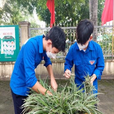 Ra quân Ngày Chủ nhật xanh 21/9