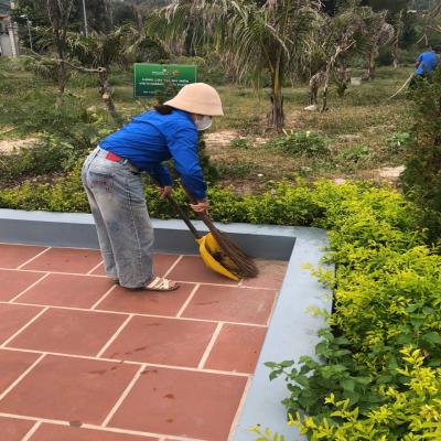 Đoàn Thanh niên Đặc khu Bạch Long Vĩ ra quân ngày Chủ nhật xanh ngày 21/9/2025