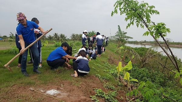 Lễ phát động Tết trồng cây và trồng mới 1500 cây xanh tại tuyến đê chắn sóng ven biển xã Trấn Dương
