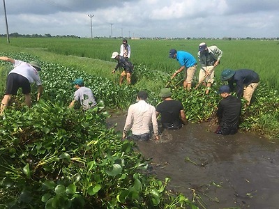 Ngày thứ 7 tình nguyện, Ngày chủ nhật xanh 5, 6/5/2018 