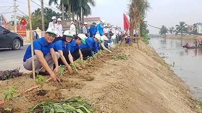 Hưởng ứng Lễ Phát động Tháng hành động vì môi trường và hưởng ứng Ngày môi trường thế giới năm 2019