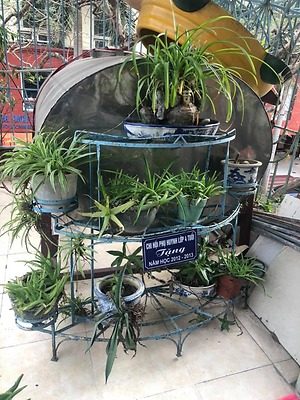 Công trình Thanh niên 