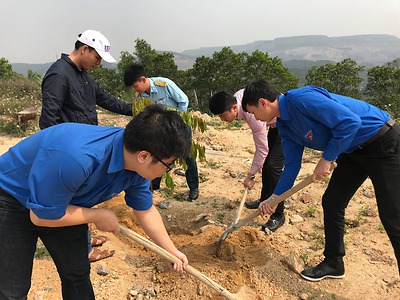 Công trình: Trồng cây xanh tại các trạm đèn biển thuộc Tổng công ty BĐATHH miền Bắc quản lý và tiểu đoàn tên lửa 143-Binh chủng Phòng không Không quân