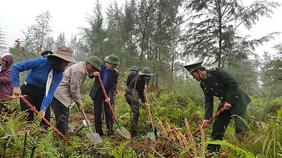 Đoàn thanh niên thành phố Hải Phòng triển khai mô hình “Trồng cây xanh vì biển đảo quê hương”.