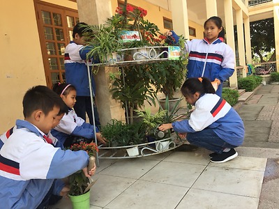 Tháng Thanh niên: Trồng cây xây dựng góc thiên nhiên, góp phần bảo vệ môi trường, phòng chống biến đổi khí hậu