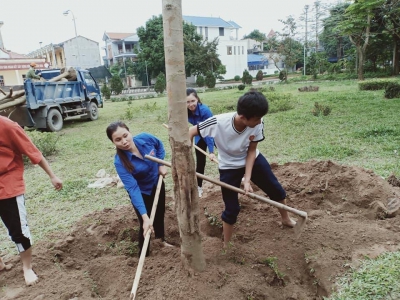 Tuổi trẻ Kiến An trồng cây xanh trên địa bàn quận