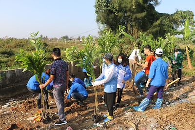 Đoàn Khối chỉ đạo trồng 1.500 cây keo hưởng ứng chương trình “vì một Việt Nam xanh”