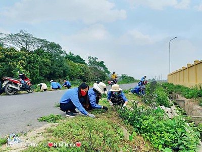 Ngày chủ nhật xanh