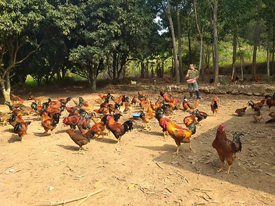 NGƯỜI THANH NIÊN VỚI KHÁT KHAO LÀM GIÀU