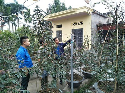 Người thanh niên mang thương hiệu hồng leo Hải Phòng tới mọi miền của Tổ quốc