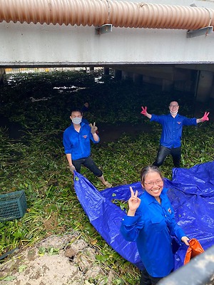 Quận đoàn Hồng Bàng: Xóa quảng cáo rao vặt trái phép trên 72 km đường, ngõ phố