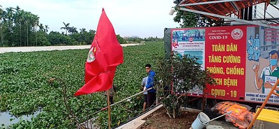 Quận Đoàn Hồng Bàng đã đăng ký đảm nhận phần việc vớt và thả bèo trên sông Tam Bạc.