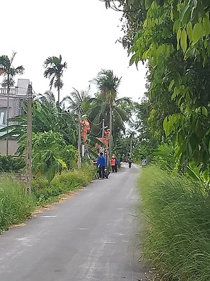 Đoàn thanh niên Công ty Điện lực Hải phòng tích cực triển khai công trình thanh niên 