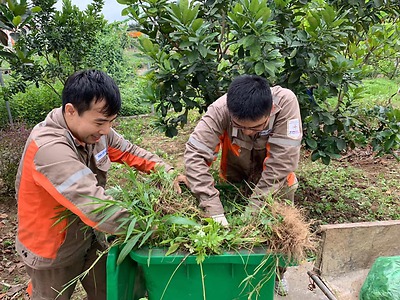 Ngày Chủ nhật xanh đồng loạt lần III