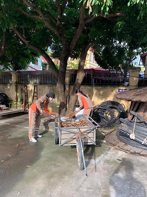 Chi đoàn Điện lực An dương hưởng ứng Ngày Chủ nhật Xanh