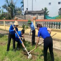ĐOÀN PHƯỜNG ĐÔNG HẢI: HOẠT ĐỘNG TRỒNG MỚI CÂY XANH NĂM 2026