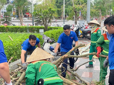 Tuổi trẻ Hải Phòng tích cực khắc phục hậu quả do bão số 3 gây ra