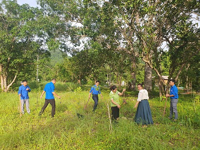 ĐOÀN VƯỜN QUỐC GIA CÁT BÀ (HUYỆN CÁT HẢI) TỔ CHỨC HOẠT ĐỘNG TRỒNG CÂY XANH TẠI VƯỜN ƯƠM CÂY GIỐNG