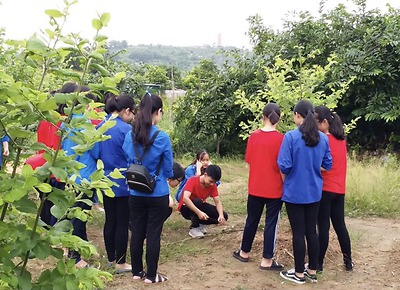Trải nghiệm 01 ngày làm nông dân, thực hành Kỹ năng ghép mắt táo cho học sinh PTNT Đồ Sơn
