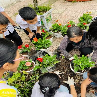 ĐƯỜNG AN: LIÊN ĐỘI TIỂU HỌC THÁI MINH TRIỂN KHAI CÔNG TRÌNH MĂNG NON “TRƯỜNG LỚP XANH”