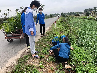 Công trình thanh niên: Trồng cây xanh trên địa bàn huyện Kiến Thụy