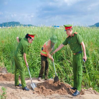 Trồng hơn 40 cây xanh tại khu vực làng nghề Tràng Minh