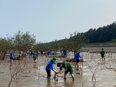Quận đoàn Đồ Sơn: Công trình Rừng cây chắn sóng phòng hộ ven biển chào mừng 92 năm Ngày thành lập Đoàn TNCS Hồ Chí Minh