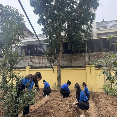 Ra quân hưởng ứng Ngày chủ nhật xanh năm 2025