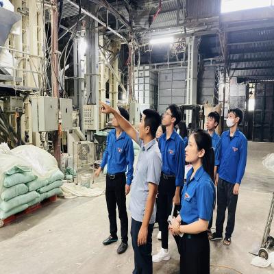 Mô hình thanh niên phát triển kinh tế LIÊN KẾT SẢN XUẤT LÚA VÀ XỬ LÝ CHẾ BIẾN TIÊU THỤ SAU THU HOẠCH