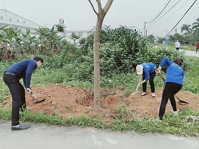 Tuổi trẻ quận Kiến An trồng cây xanh hưởng ứng Chiến dịch Thanh niên tình nguyện Hè 2022