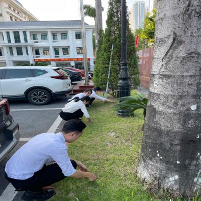 Đoàn Các cơ quan Đảng thành phố ra quân hưởng ứng Ngày chủ nhật xanh năm 2025