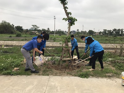 Đoàn thanh niên quận Kiến An trồng cây xanh hưởng ứng Tháng thanh niên