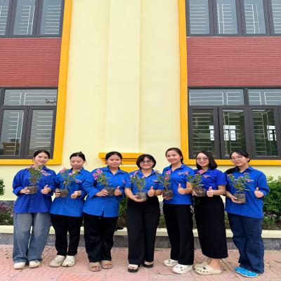 CHUNG TAY TRỒNG HOA, TRỒNG CÂY – SẴN SÀNG ĐÓN NĂM HỌC MỚI
