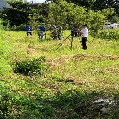 ĐOÀN TRƯỜNG CAO ĐẲNG NGHỀ HẢI DƯƠNG SÔI NỔI RA QUÂN NGÀY CHỦ NHẬT XANH 21/9/2025