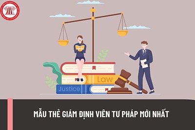 Quận đoàn Đồ Sơn: Tuyên truyền pháp luật trên không gian mạng - Luật giám định tư pháp