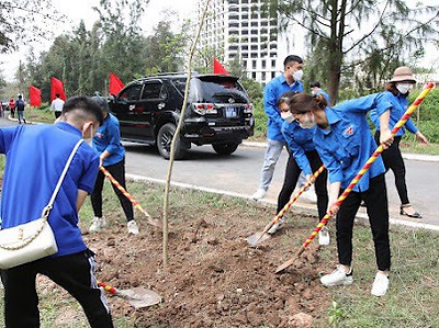 Quận đoàn Đồ Sơn tích cực hưởng ứng phong trào Trồng cây xanh