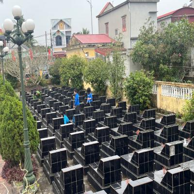 Ra quân Chủ nhật xanh 22/3/2026